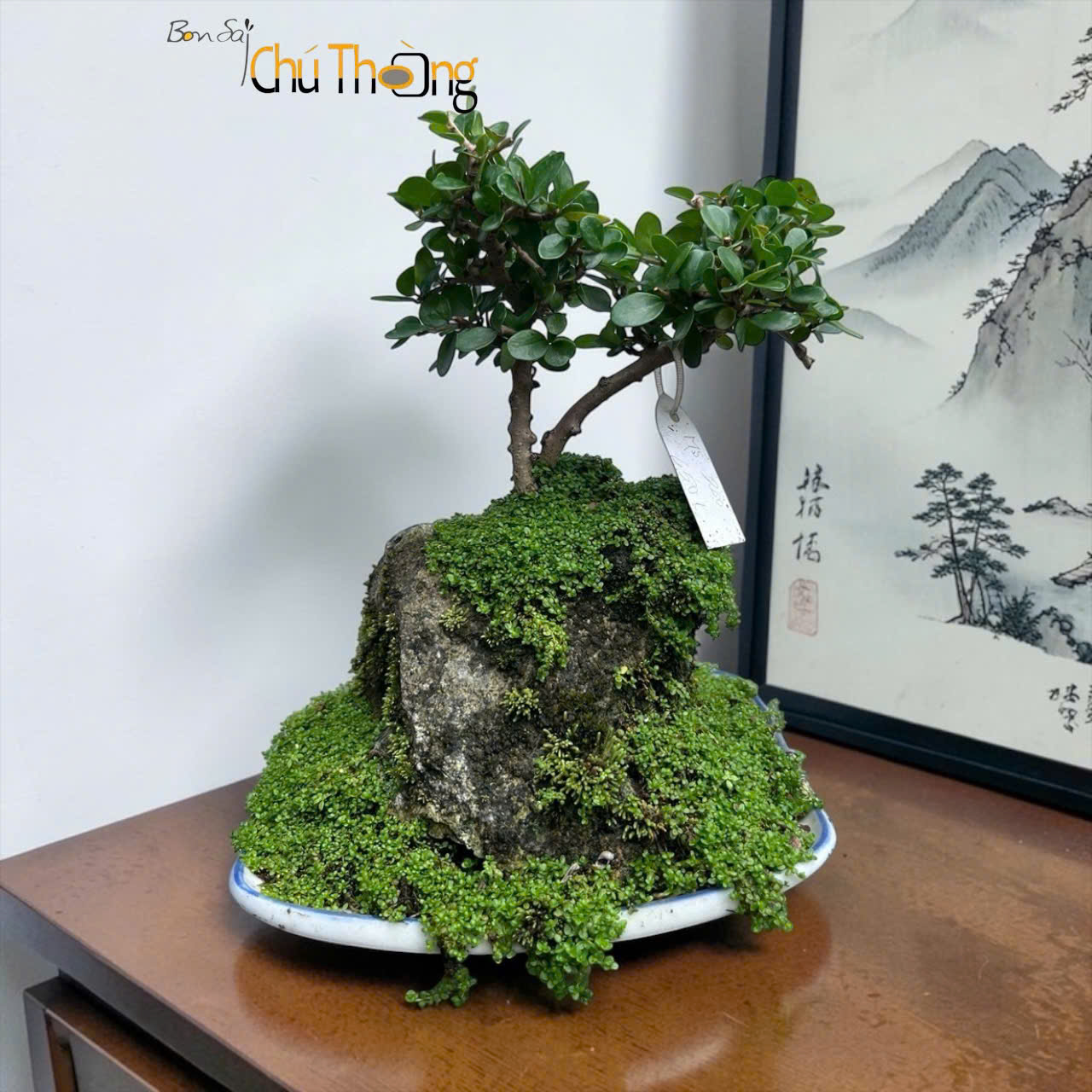 Tiểu Cảnh Sam Núi