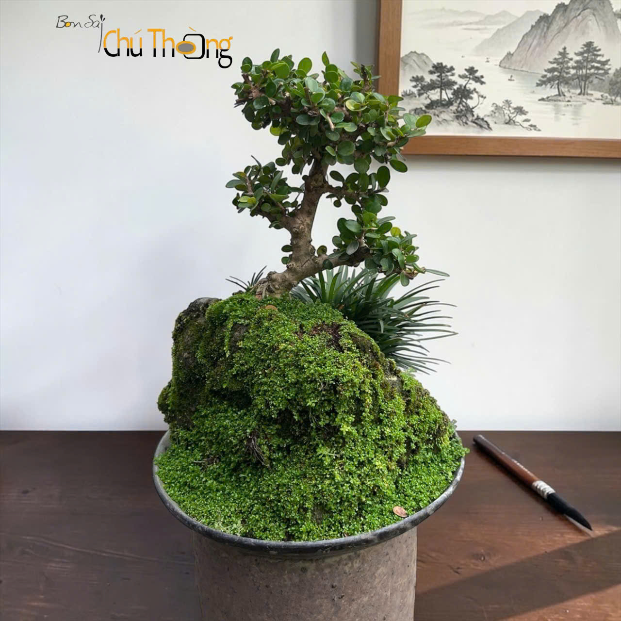 Tiểu Cảnh Sam Núi